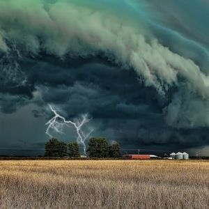 Meet your Posher, Brent